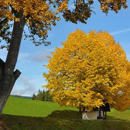 Apartamento Urlaub Am Bauernhof Hans Im Winkel