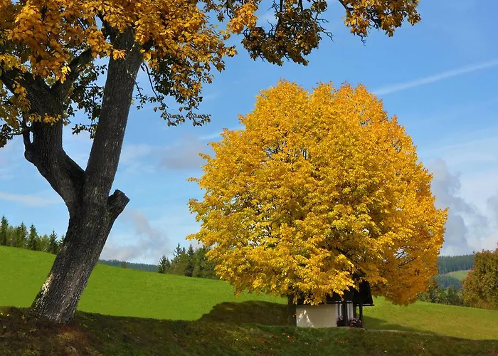 شقة Urlaub Am Bauernhof Hans Im Winkel