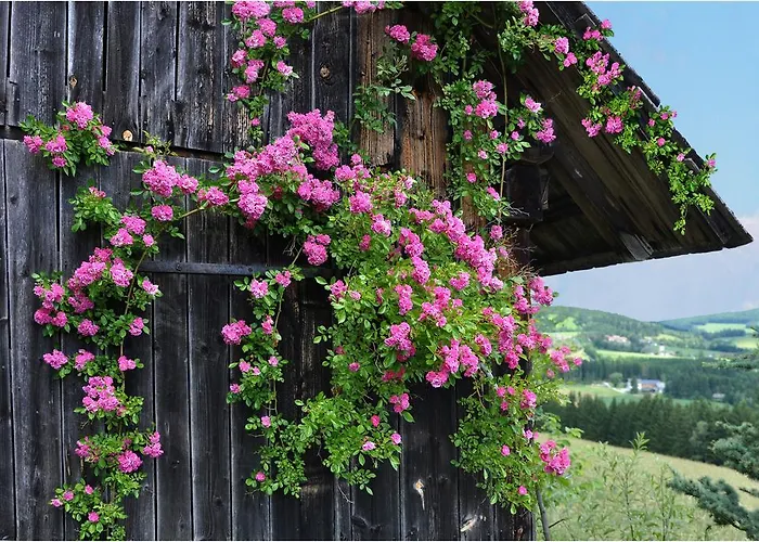 Urlaub Am Bauernhof Hans Im Winkel شقة Wenigzell