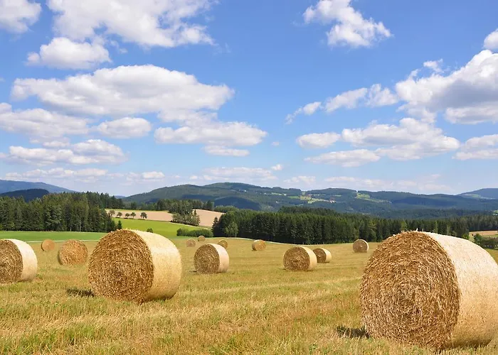 شقة Urlaub Am Bauernhof Hans Im Winkel *