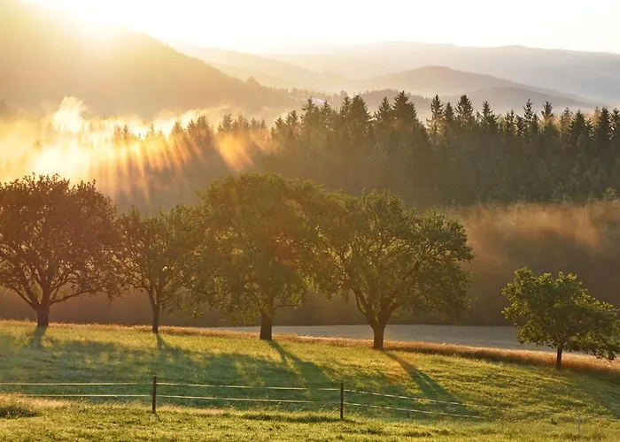 Urlaub Am Bauernhof Hans Im Winkel شقة *